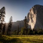 Morning Yosemite